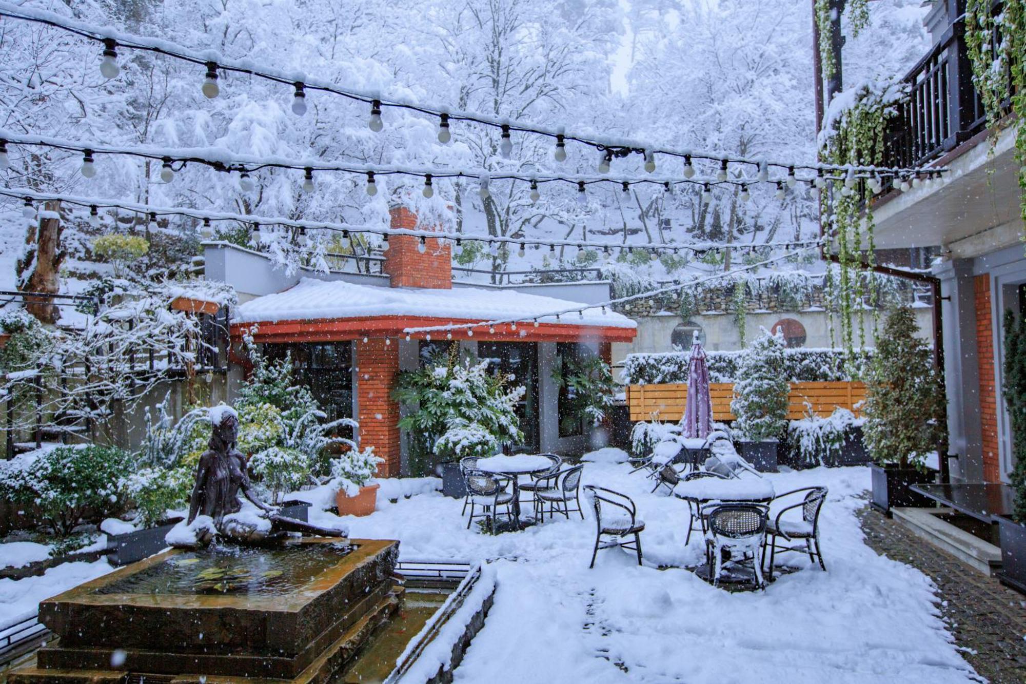 Seventeen Rooms Telavi Bagian luar foto